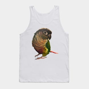 Green Cheek Conure Parrot Bird design, Love for birds Tank Top